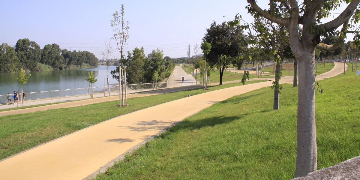 Environmental improvements and replanting of the Guadalquivir river banks. Sevilla